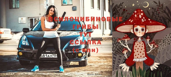 гидропоника Беломорск
